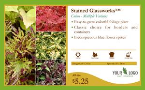 11x7 Stained Glassworks™ Coleus Overview Card