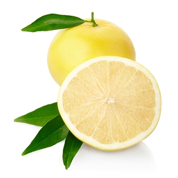 Citrus paradisi 'Oro Blanco' 