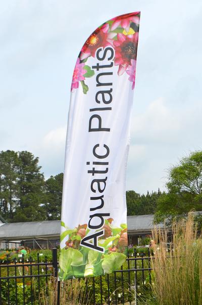 Aquatic Plants Feather Flag
