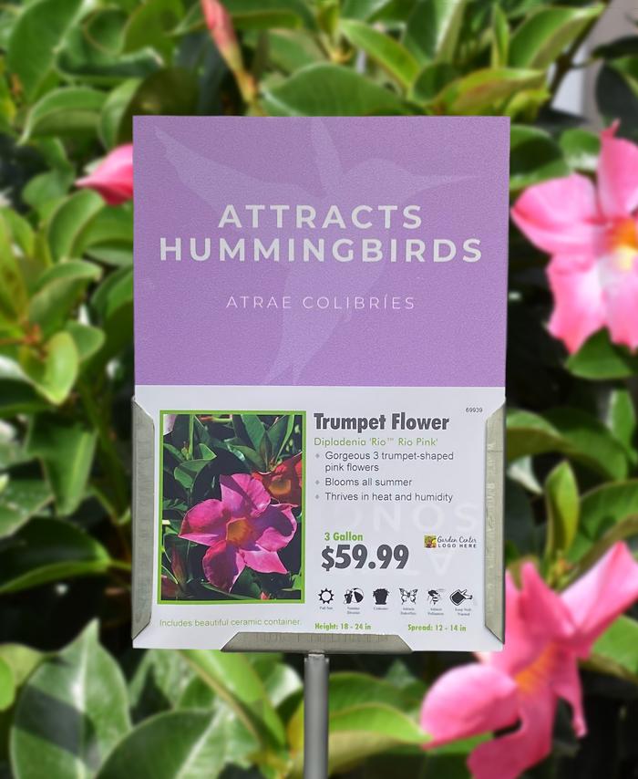 Sign Topper: Attracts Hummingbirds / Attracts Songbirds