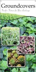 Ground Covers 18x36 - Traditional