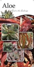 Aloe 18x36 - Traditional