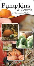 Pumpkins & Gourds 18x36 - Traditional