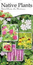 Native Plants 18x36 - Traditional