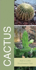 Cactus 18x36 - Bold