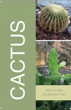 Cactus 24x36 - Bold