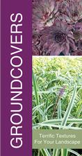 Groundcovers 18x36 - Bold