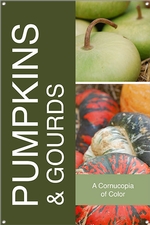 Pumpkins & Gourds 24x36 - Bold
