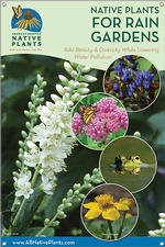 Native Plants for Rain Gardens-NEW ENGLAND 24x36