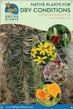 Native Plants for Dry Conditions-SOUTHWEST 24x36