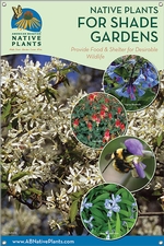 Native Plants for Shade Gardens-NEW ENGLAND 24x36