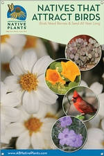 Native Plants That Attract Birds-SOUTHWEST 24