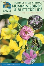 Native Plants That Attract Hummingbirds & Butterflies-SOUTHWEST 24