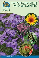 Native Plants for the Mid-Atlantic 24x36