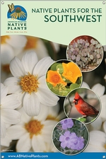 Native Plants for the Southwest 24x36