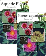 Aquatic Plants/Plantes aquatiques 24x36 - Traditional