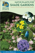 Native Plants for Shade Gardens-MID-ATLANTIC 24x36
