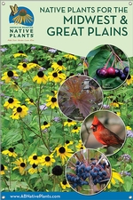 Native Plants for the Midwest/E. Great Plains 24x36