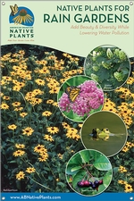 Native Plants for Rain Gardens-SOUTHEAST 24x36