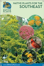 Native Plants for the Southeast 24x36