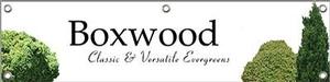 Boxwood 24x36 - Traditional