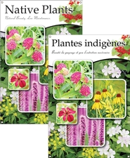 Native Plants/Plantes indigènes 24