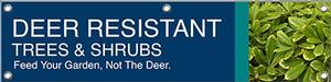 Deer Resistant Trees and Shrubs 47