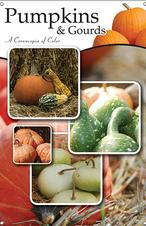 Pumpkins & Gourds 24x36 - Traditional