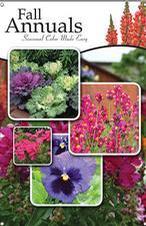 Fall Annuals 24x36 - Traditional