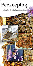 Beekeeping 18x36 - Traditional