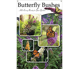 Butterfly Bushes 24x36 - Traditional
