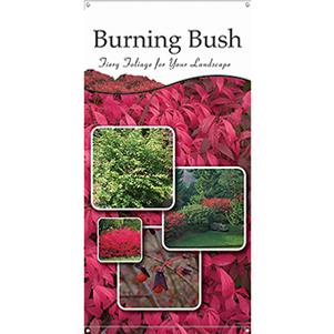 Burning Bush 18 x 36 - Traditional