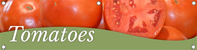 Tomatoes 47