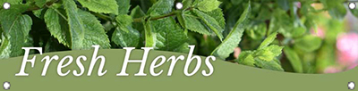 Fresh Herbs 47x12 - Swoop
