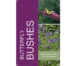 Butterfly Bushes 24x36 - Bold