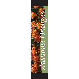 Awesome Oranges 12x55 - Swoop