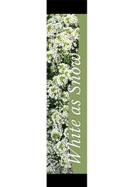White As Snow 12x55 - Swoop