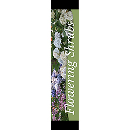Flowering Shrubs 12x55 - Swoop