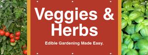 Veggies & Herbs 8ft x 3ft - Bold