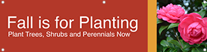 Fall is for Planting 47x12 - Bold