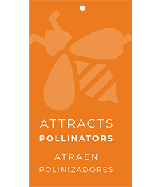 'Attracts Pollinators' Hang Tags