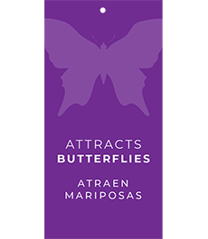 Attracts Butterflies Hang Tags