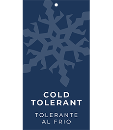 Cold Tolerant Hang Tags