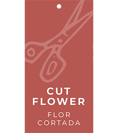 Cut Flower Hang Tags