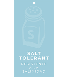Salt Tolerant Hang Tags