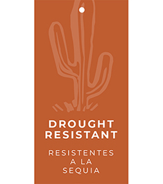 Drought Resistant Hang Tags