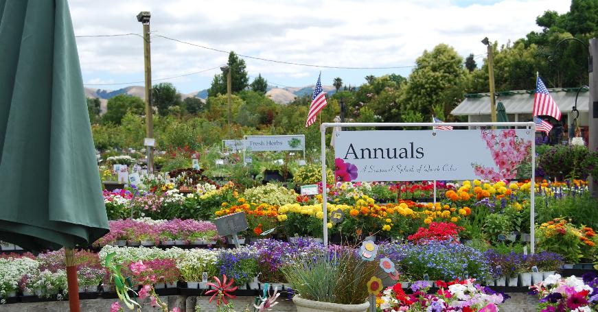 Large Garden Center Signs