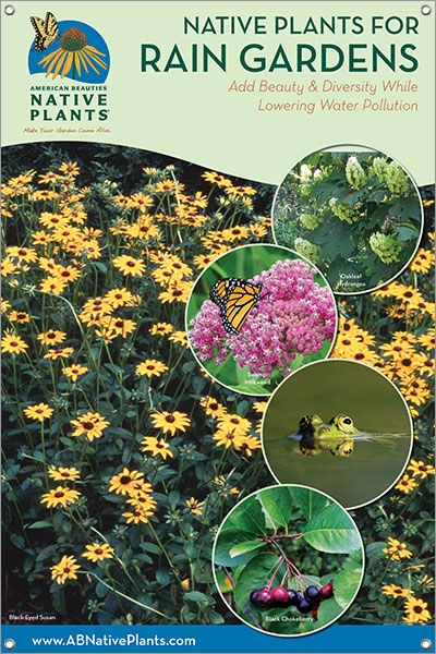 Native Plants for Rain Gardens-SOUTHEAST 24