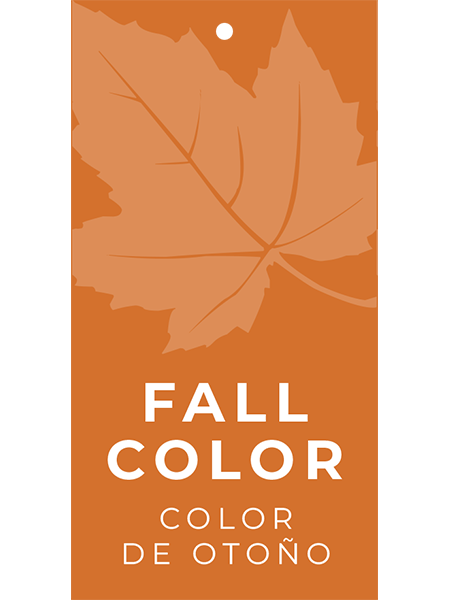 Fall Color Hang Tags