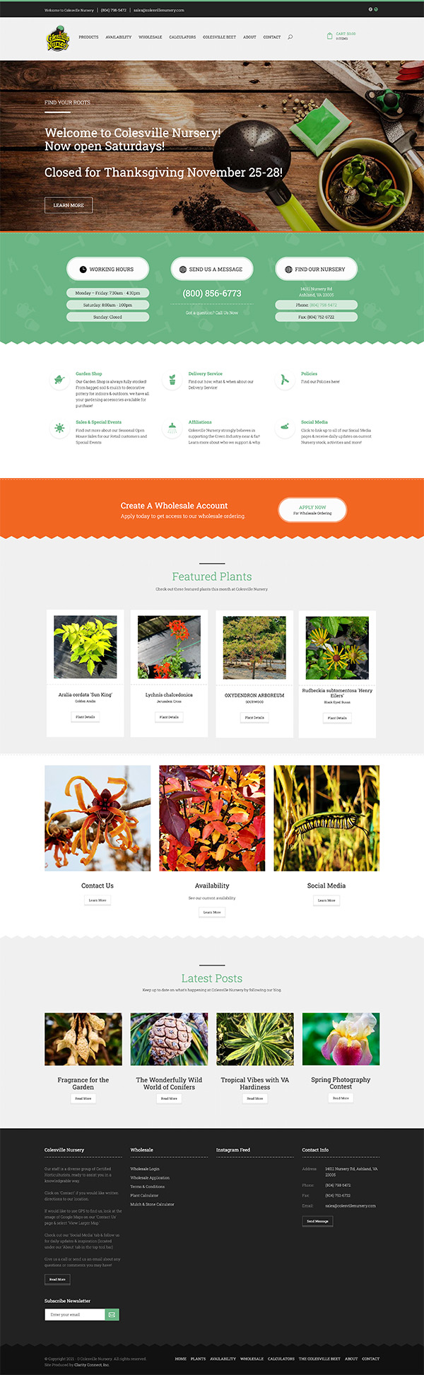 Advanced Website Solutions Advanced Website Solutions